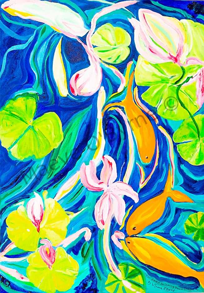 Koi Carp Swimming Downstream